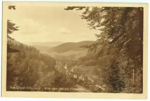 Ansichtskarte, Bad Grund Oberharz, Blick vom Iberger Kaffeehaus, um 1940