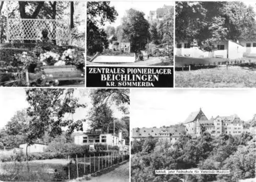 Ansichtskarte, Beichlingen Kr. Sömmerda, Zentr. Pionierlager, 1978