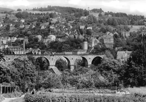 AK, Sebnitz Sachs., Teilansicht mit Viadukt, 1977