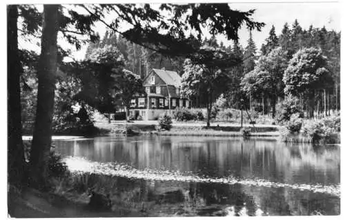 Ansichtskarte, Hasselfelde Harz, Haus Tannenwald, 1959