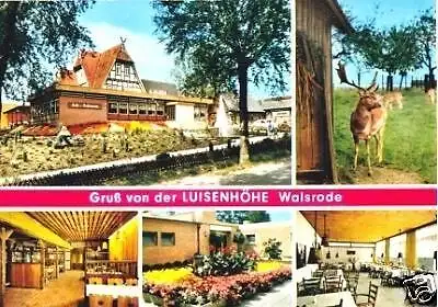 Ansichtskarte, Walsrode, Restaurant Luisenhöhe, fünf Abb., 1976