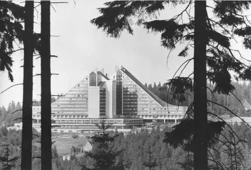 AK, Oberhof Thür. Wald, Blick zum Interhotel Panorama, 1981