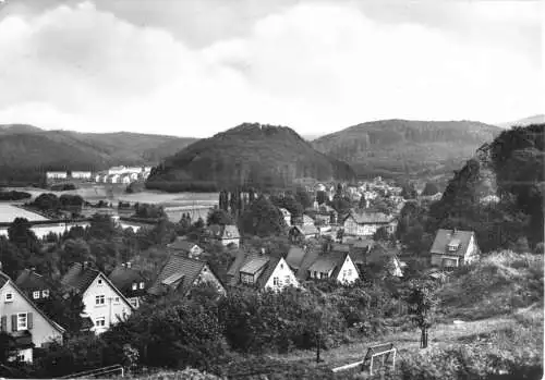 AK, Thal Thür. Wald, Totale und Ruine Scharfenburg 1967