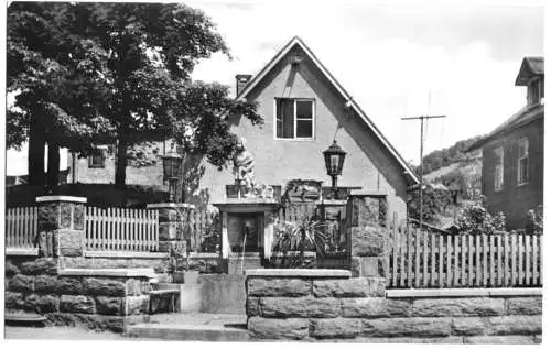 AK, Steinach Thür. Wald, Rößleinsbrunnen, 1968