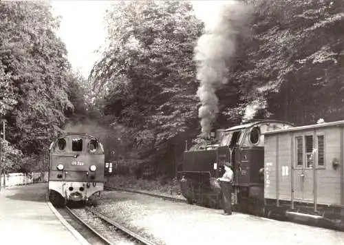 9 AK, Bäderbahn Bad Doberan - Ostseebad Kühlungsborn, 1982