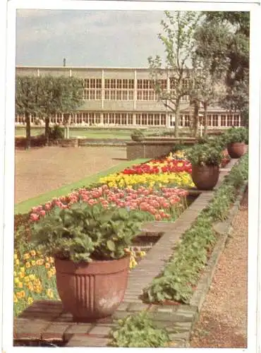 Ansichtskarte, Essen, Eingangshof zur "Gruga", 1958