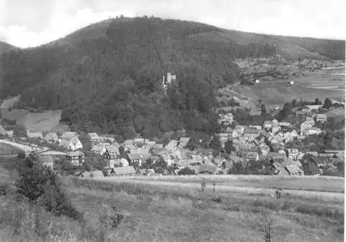 AK, Steinbach-Hallenberg Thür., Teilansicht, 1969