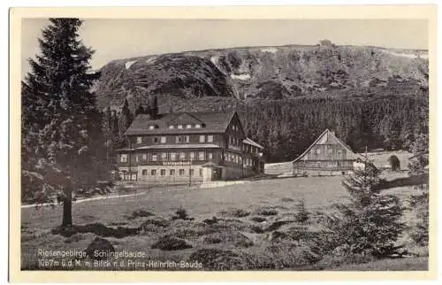 AK, Riesengebirge, Schlingelbaude, um 1940