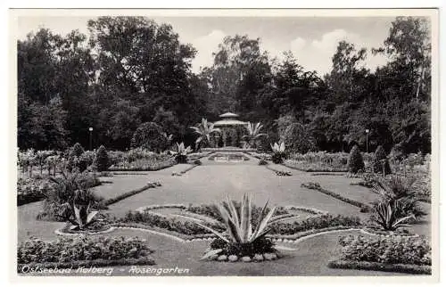 AK, Ostseebad Kolberg, Kołobrzeg, Partie im Rosengarten, 1941