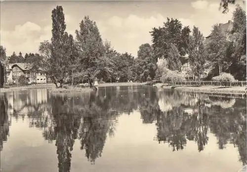 AK, Schmalkalden Thür., Partie am Neuen Teich, 1965