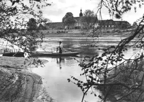 AK, Riesa Elbe, Jahna-Mündung und Promnitz, 1966