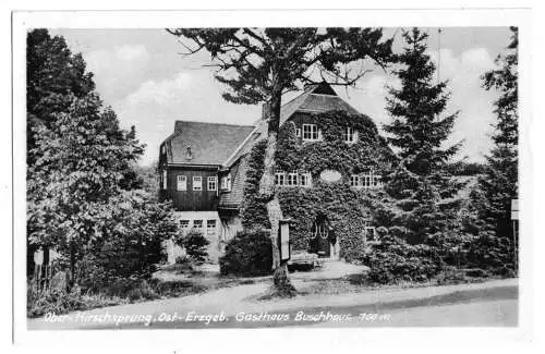 AK, Ober-Hirschsprung Erzgeb., Gasthaus Buschhaus, 1951