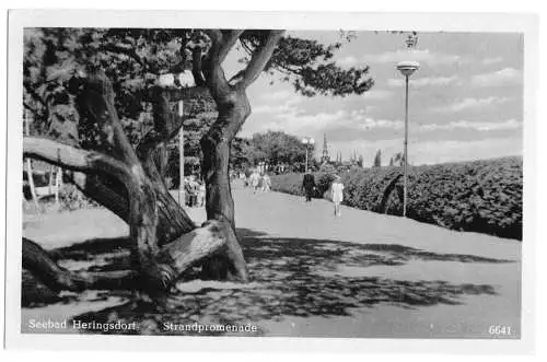 AK, Seebad Heringsdorf Usedom, Strandpromenade, 1953