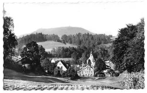 AK, Luftkurort Lückendorf, Teilansicht mit Hochwald