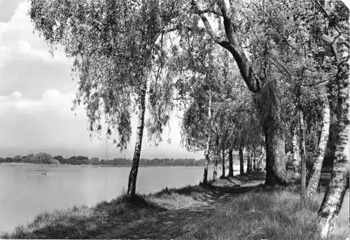 AK, Ketzin Kr. Nauen, Parkanlage, 1984