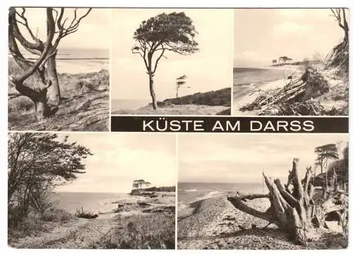 AK, Die Küste am Darß, fünf Abb., 1975