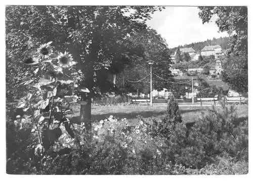 AK, Bad Frankenhausen Kyffh., Partie im Kurpark, 1970