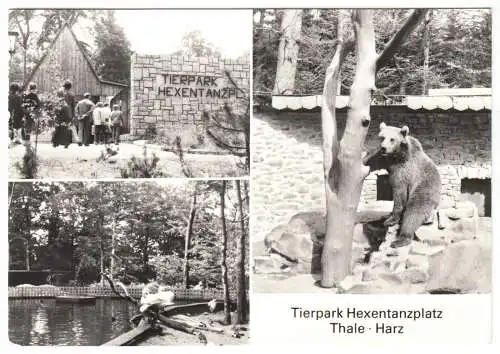 AK, Thale Harz, Tierpark Hexentanzplatz, drei Abb., 1984