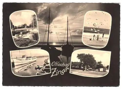 AK, Zingst Darss, fünf Abb., gestaltet, 1963