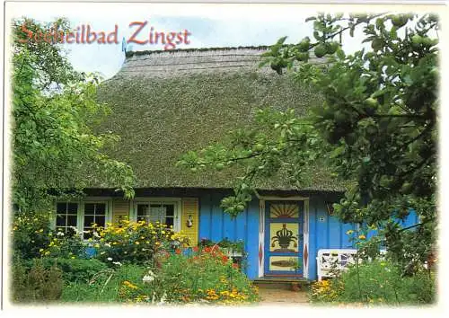 AK, Seeheibad Zingst am Darß, Rieddachhaus, um 2005