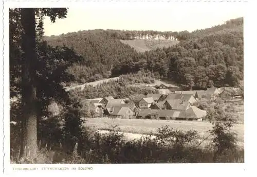 AK, Ertinghausen im Solling, Teilansicht, Echtfoto, 1961