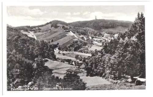 Ansichtskarte, Detmold, Teuteburger Wald, Lippische Schweiz, Landschaft, um 1955