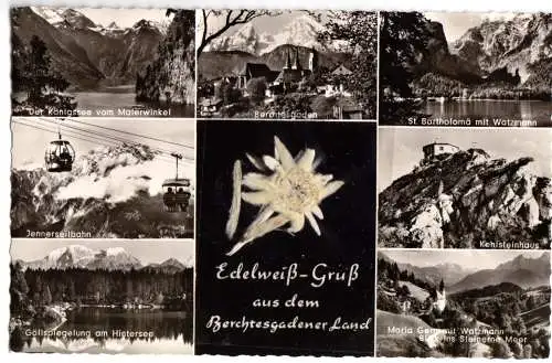 AK, Berchtesgadener Land, sieben Abb., Edelweiß (echt), um 1958