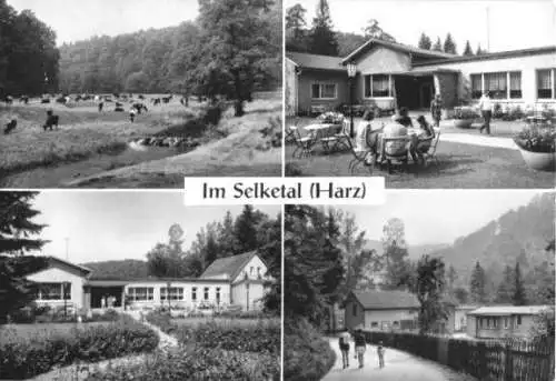 Ansichtskarte, Harz, Im Selketal, vier Abb., 1974