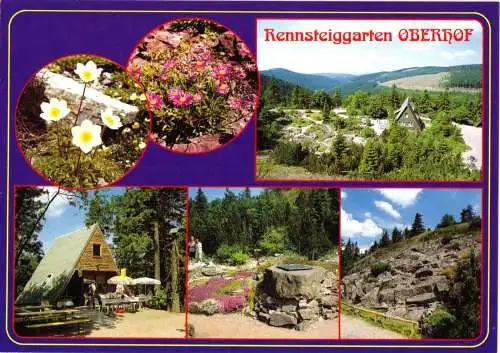 AK, Oberhof Thür. Wald, Rennsteiggarten, sechs Abb., um 1998