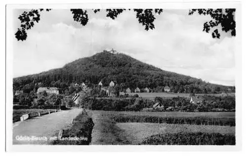 AK, Görlitz - Biesnitz, Totale mit Landeskrone, 1955