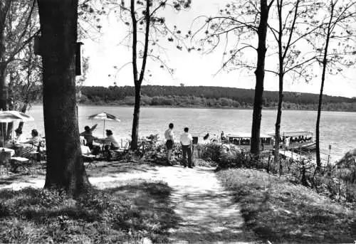 AK, Buckow Märkische Schweiz, Gast- und Pensionsh. "Buchenfried", Terrasse, 1981