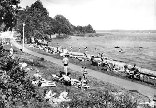 AK, Plau Meckl. Kr. Lübz, Strandpartie am Plauer See, belebt, 1974