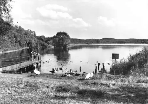 AK, Loddin Kr. Wolgast, OT Kölpinsee, Partie am Kölpinsee, 1980