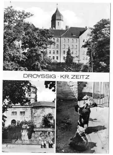 AK, Droyßig Kr. Zeitz, drei Abb., 1974