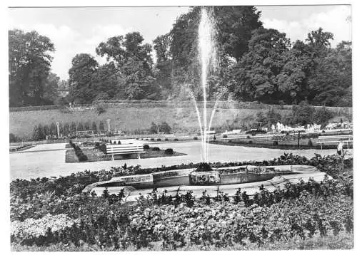 AK, Gotha, Gartenpartie an der Orangerie, 1965