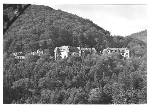 AK, Kurort Sülzhayn Südharz, Abt. "Am Steierberg", 1970