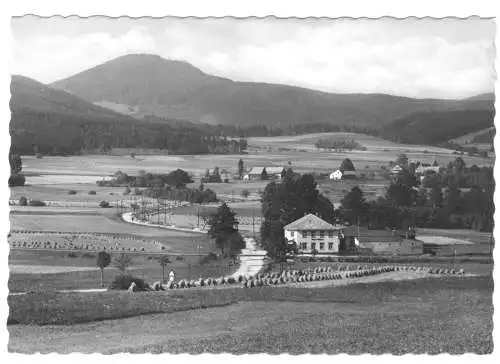 AK, Zittauer Gebirge, Saalendorf, Blick nach Saalendorf u. d. Lausche, 1962