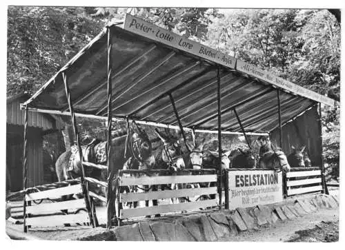 AK, Eisenach Thür., Eselstation an der Wartburg, 1974