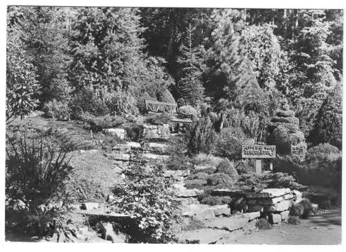 AK, Kurort Sülzhayn Südharz, Partie im Kurpark, 1969