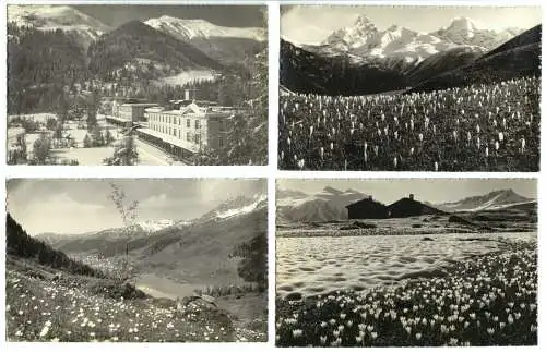 14 AK, Davos und nähere Umgebung, Fotokarten, 1928