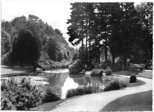 AK, Bad Pyrmont, Partie im Kurpark, um 1960