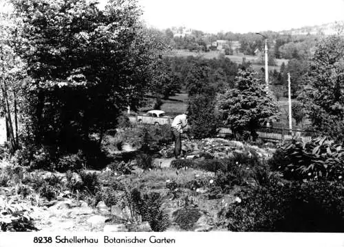 AK, Schellerhau Erzgeb., Botanischer Garten, 1972