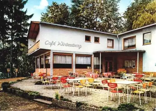 AK, Bad Ems, Berghotel "Café Winterberg", Teilansicht mit Terrasse, 1979