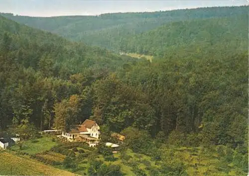 AK, Bad Pyrmont, Kaffee - Restaurant "Langer Grund", Luftbild, 1961