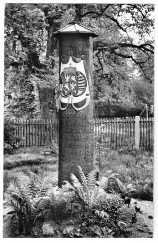 AK, Dahlen Kr. Oschatz, Jägereiche im Volkspark, 1962