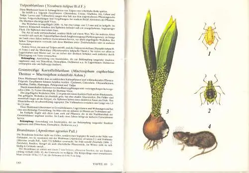 Burdajewicz; Glaser; Atlas der Krankheiten und Schädlinge an Zierpflanzen, 1980