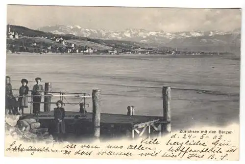 AK, Zürich, Partie am Zürichsee mit Blick zu den Alpen, 1902