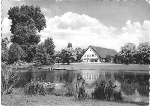 AK, Berlin Tiergarten, Englischer Garten, 1957