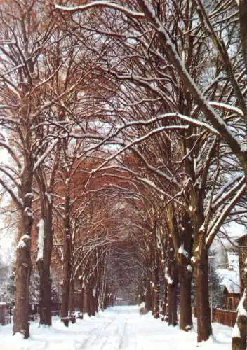 AK, Hohen Neuendorf, Anton-Saefkow-Str., Winteransicht, um 2000