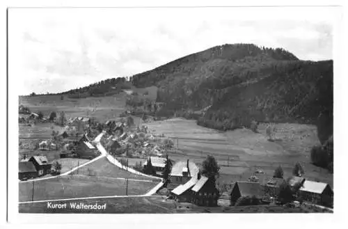 AK, Kurort Waltersdorf, Teilansicht, 1955